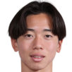 鹿岛鹿角