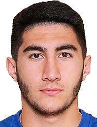 托武兹