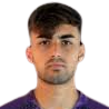 皇家联邦